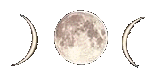 moontrans.gif
